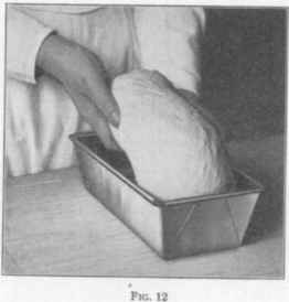 [Illustration: Fig. 12]